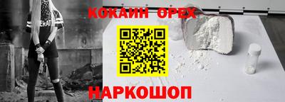 СК Камышлов