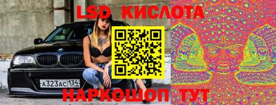 СК Камышлов