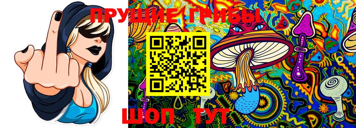 Псилоцибиновые грибы ЛСД Трёхгорный