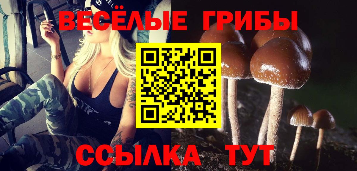 Галлюциногенные грибы мицелий  Вход с VPN  Галлюциногенные грибы Psilocybe  купить наркоту  Трёхгорный 